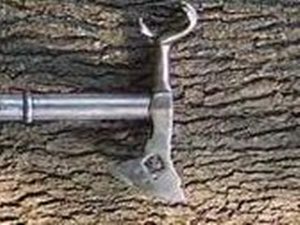 Tree bark with vintage metal tool attached.