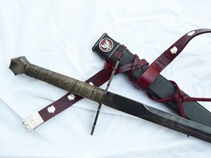 Sword with scabbard on white background.