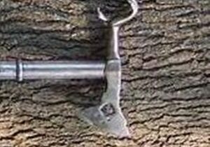 Tree bark with vintage metal tool attached.