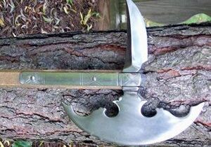 Unique knife embedded in tree trunk.