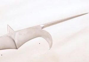 Curved, sharp metal object on white background.